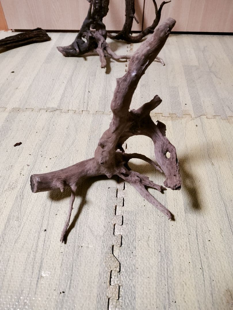 わ*ち様 水槽用流木 複数セット ホーンウッド ブランチウッド