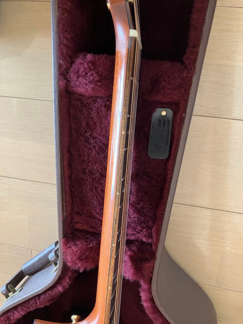 レア/希少　Martin DCPA 1 PLUS マーティン　縦ロゴ