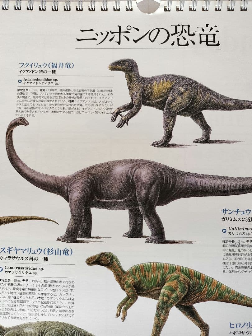 BE-PAL ビーパル カレンダー 新品未使用 1994年 ヴィンテージ