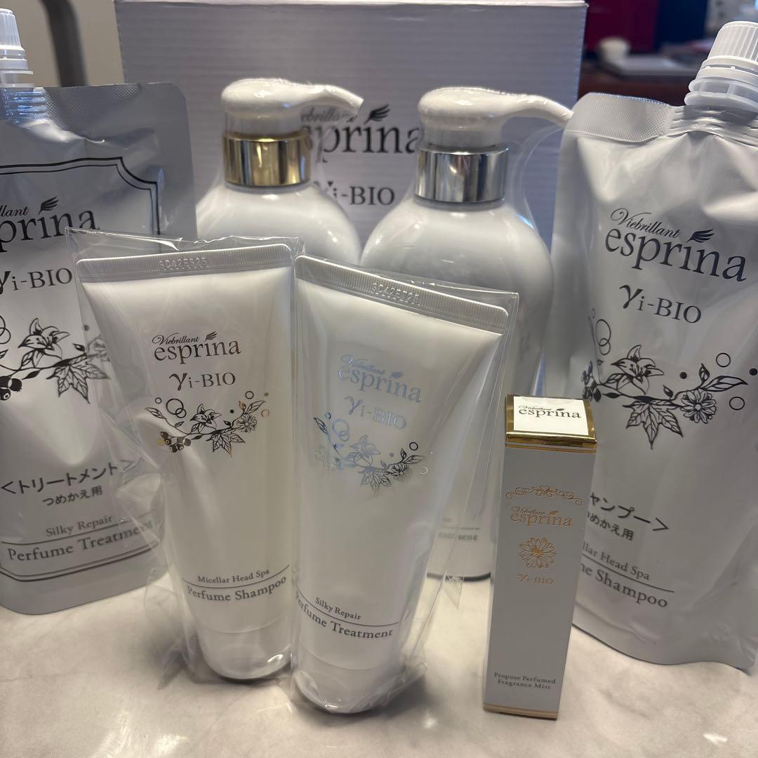 最新版12月23日購入エスプリーナシャンプー、トリートメントセット