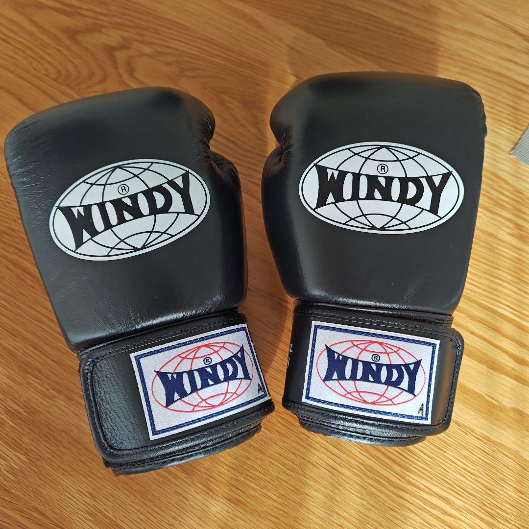 WINDY ボクシンググローブ 10 oz BGVH