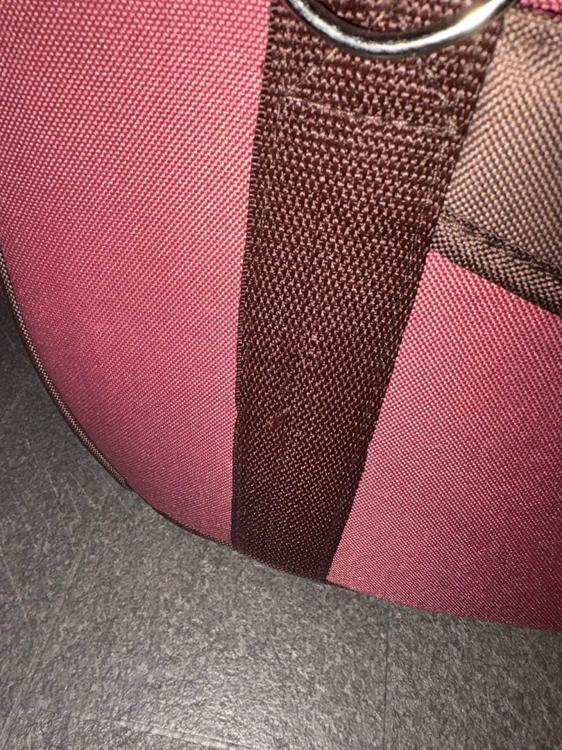 ファンタジーワールド スイートハート ペットカート L ドライローズ