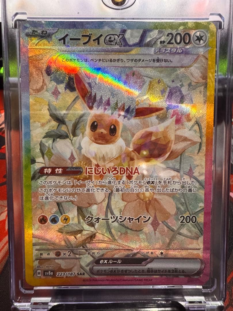 【完美品】ブイズSAR 9枚セット テラスタルフェスex ポケモンカード