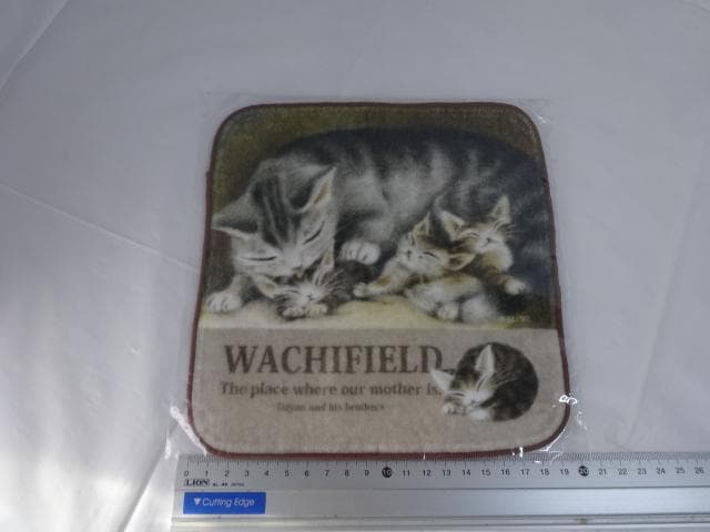 専用　ミニタオル　ハンカチ　母さん　アート　非売品　わちふぃーるど　ダヤン　猫