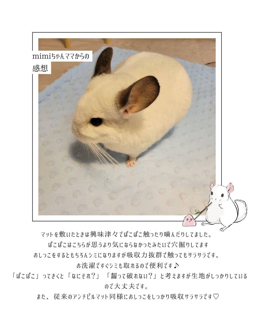 海外アンチピルぽこぽこマット　商品紹介