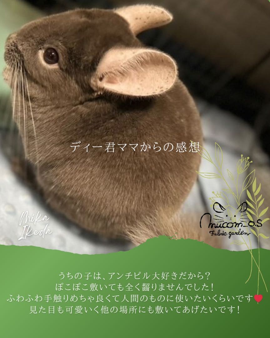 海外アンチピルぽこぽこマット　商品紹介