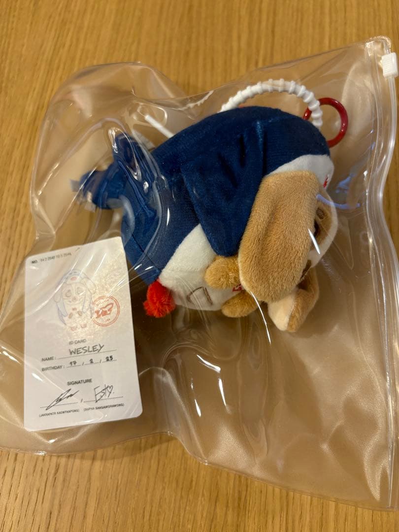 【匿名配送】 GMMTV Wesly Doll Keychain