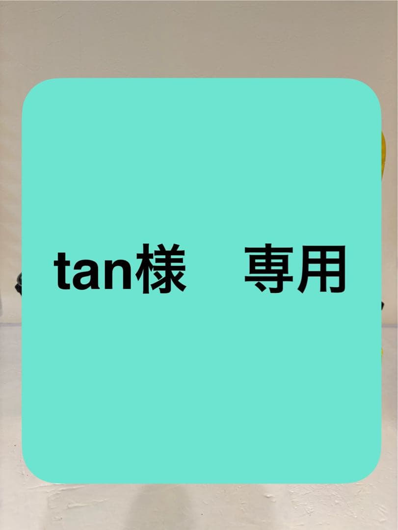 【tan】23-24 SALOMON HOLOGRAM (Ｓサイズ)