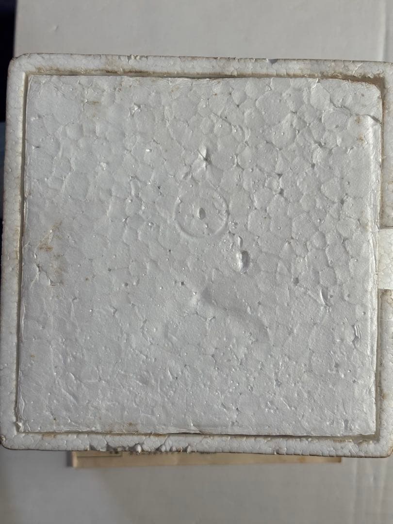 ポピニカ　ホットケソーサー　1体