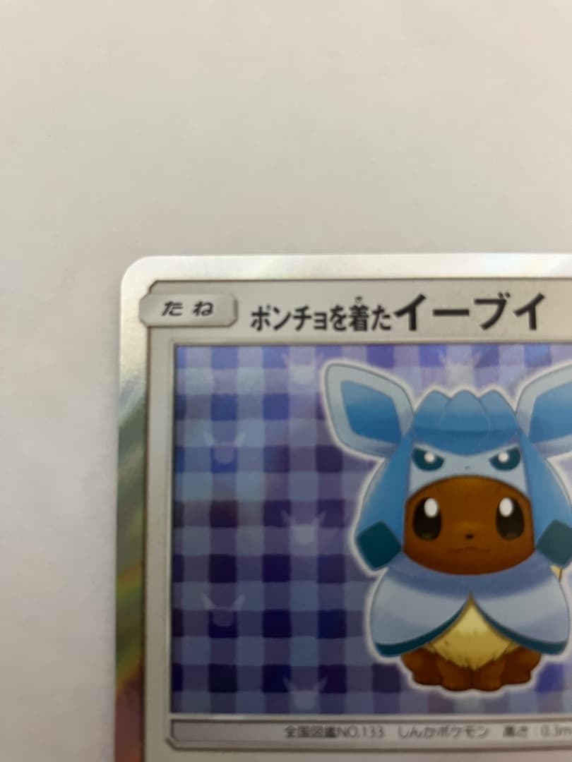 P*s様 ポンチョを着たイーブイ　グレイシアバージョン