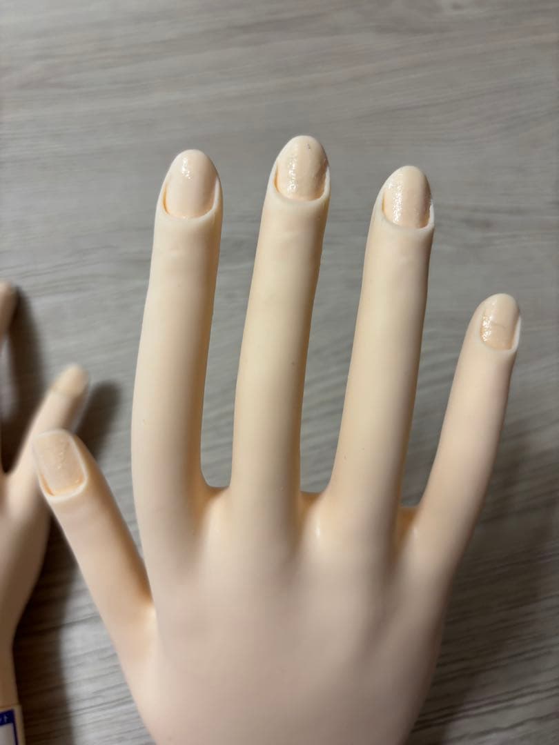 JNEC認定モデルハンド 両手