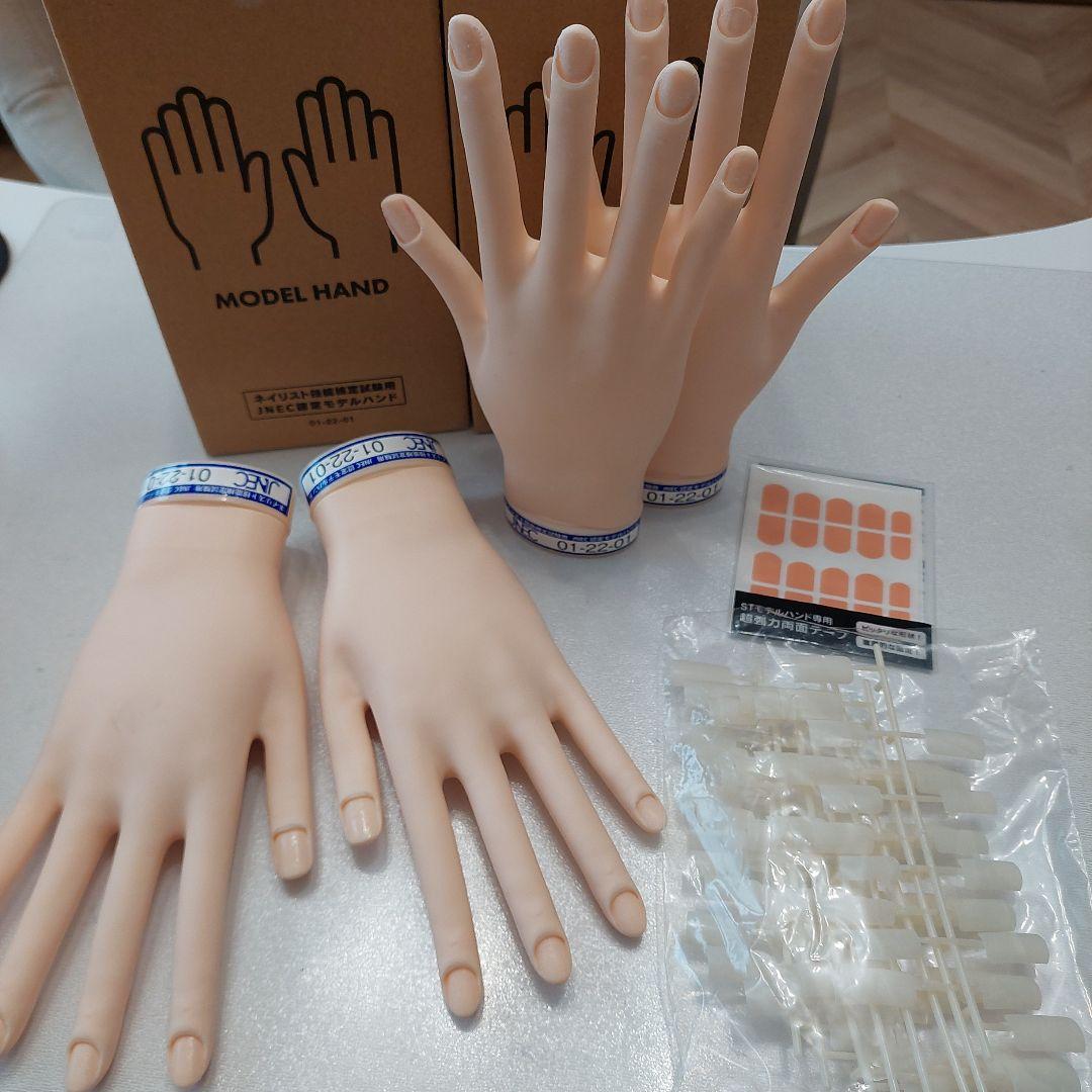 JNEC認定モデルハンド　2個セット