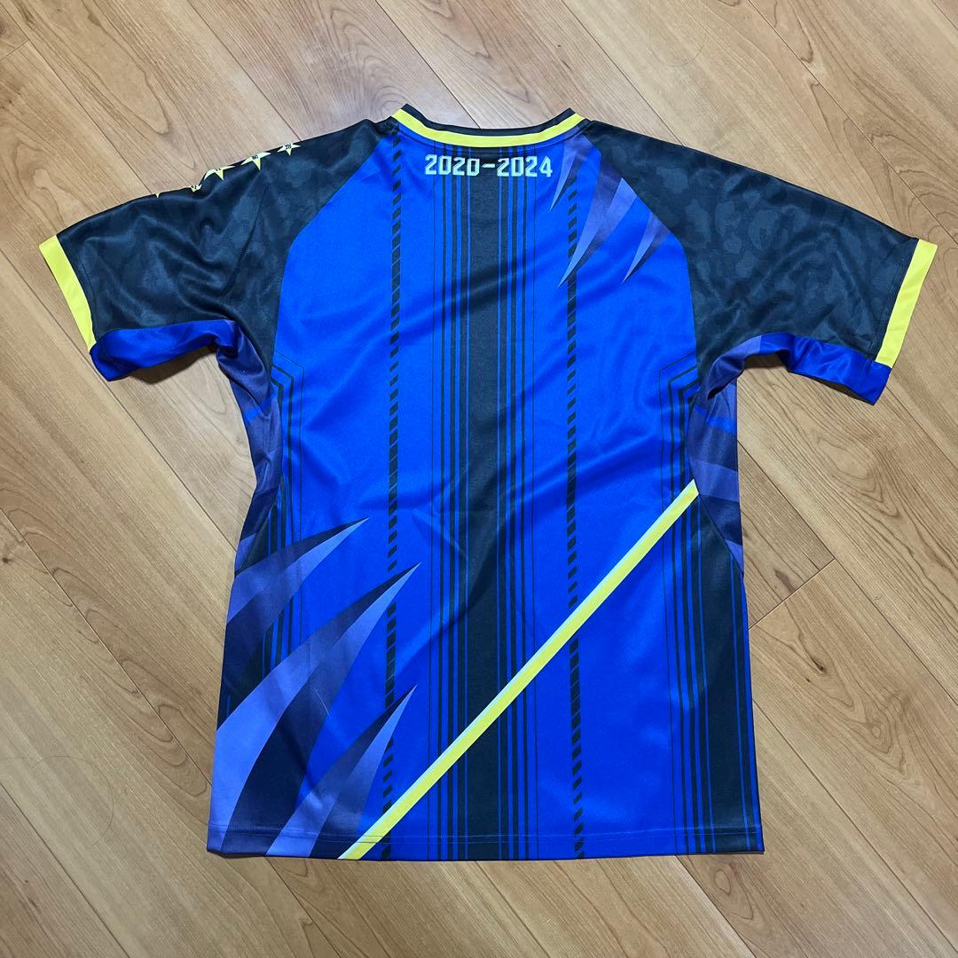 DESCENTE Panasonic Panthers シャツ2020-2024