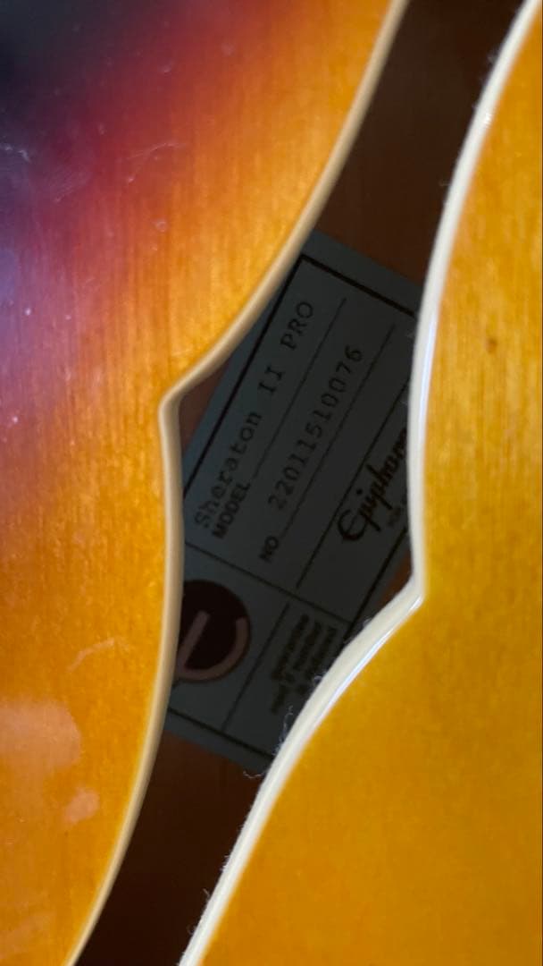 Epiphone Sheraton Ⅱ PRO 付属ソフトケース付き