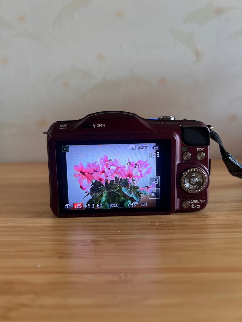 LUMIX GF5 パープル ミラーレス一眼