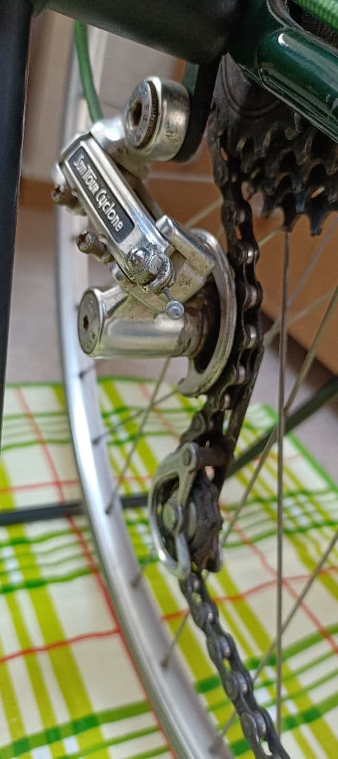 ブリヂストン ユーラシア ツーリング ランドナー 550㎜ 魔物カスタム