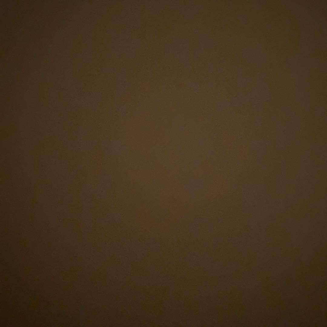 Hayashi　サントリーリザーブ古酒ポートピア'81ブイ型