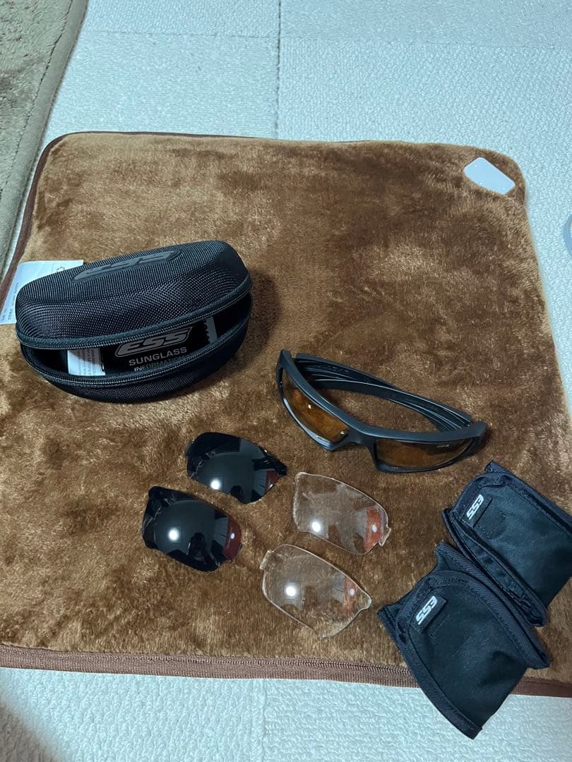 ESS Rollbar サングラス