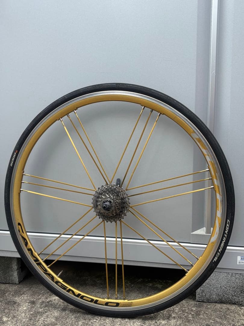 【東京近郊・お届け可能】稀少金シャマ！カンパニョーロ シャマル ゴールド