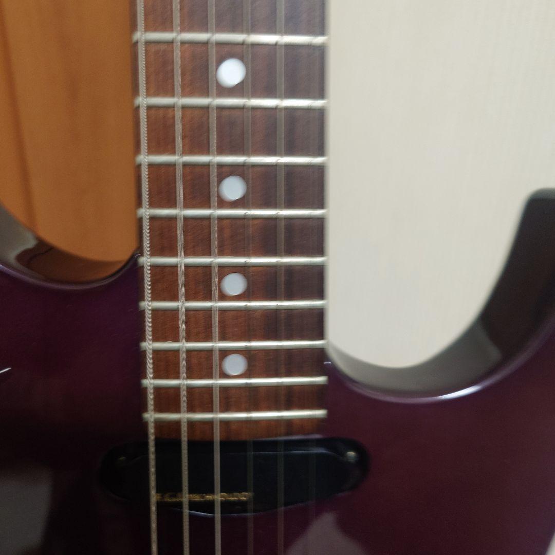 FERNANDES　M-85C 瀧川一郎モデル