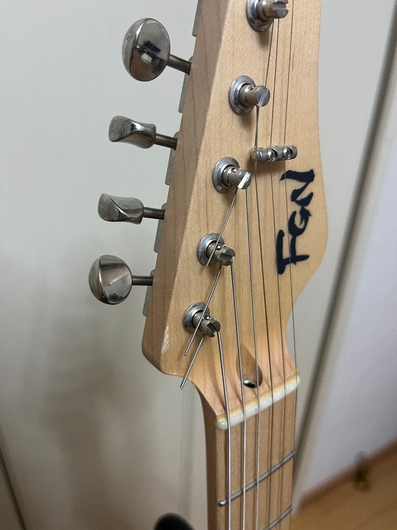 ギター FGN (Fujigen) EOS2-ASH-M/WB