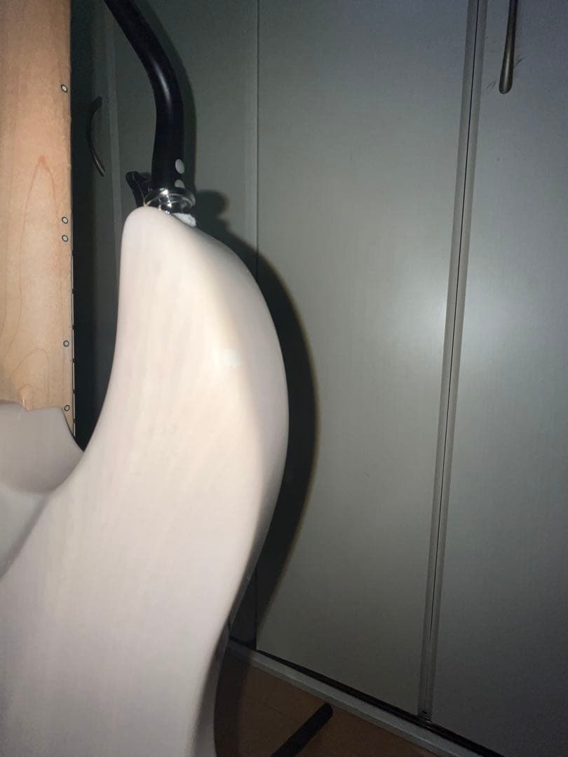 ギター FGN (Fujigen) EOS2-ASH-M/WB