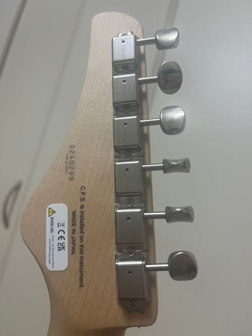 ギター FGN (Fujigen) EOS2-ASH-M/WB