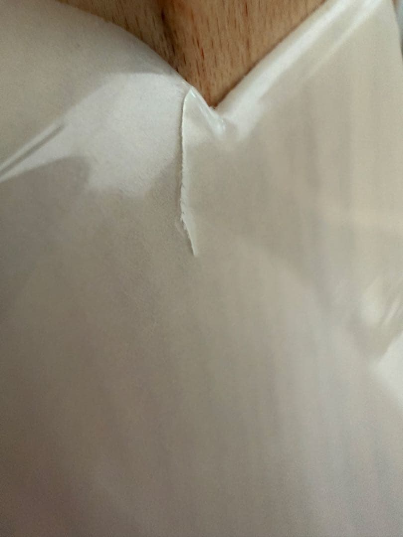 ギター FGN (Fujigen) EOS2-ASH-M/WB