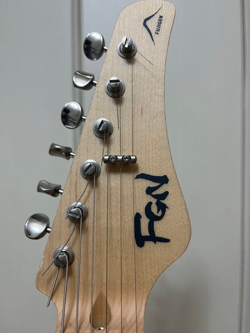 ギター FGN (Fujigen) EOS2-ASH-M/WB