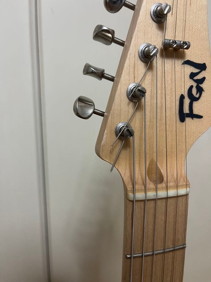 ギター FGN (Fujigen) EOS2-ASH-M/WB