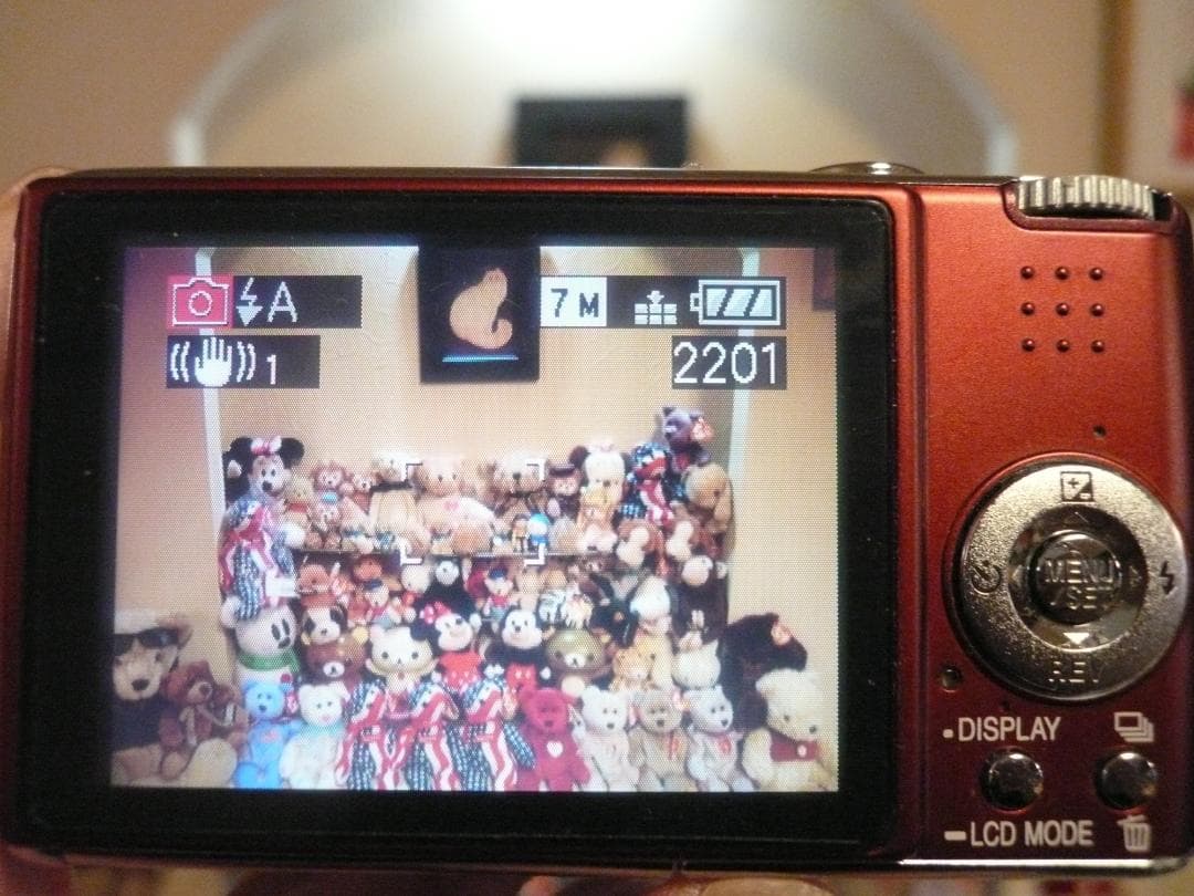 LUMIX★DMC-FX07⭐️極美品⭕️安心の実働品★エンジ色