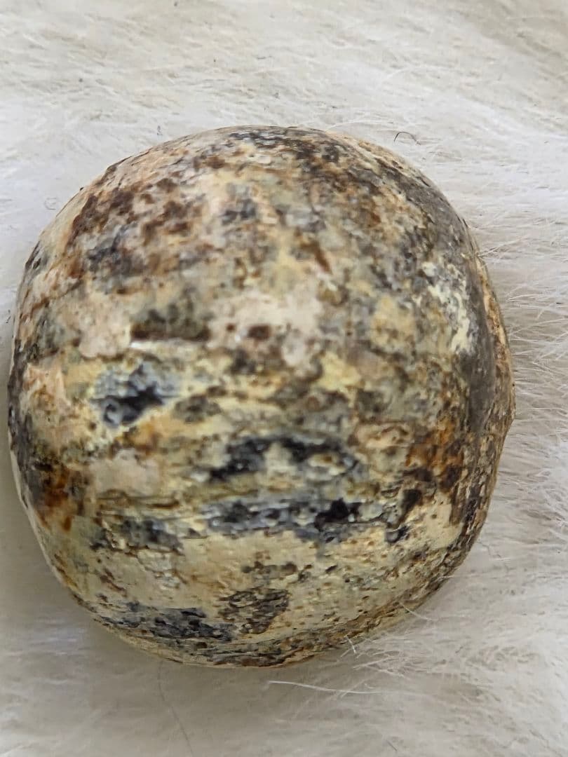 018　蜻蛉玉　古い鳥が消えて　太陽のみ残ったジャワ玉！