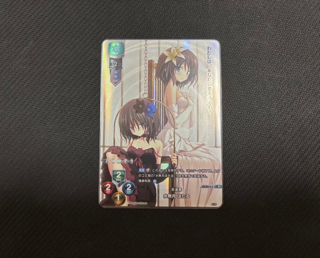 lycee 天津罪 水無月 ほたる P