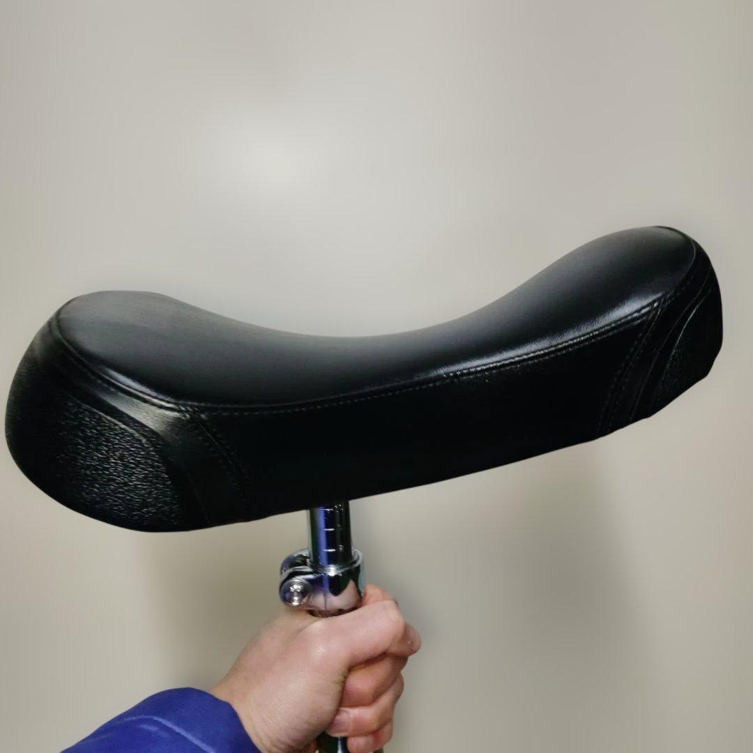 MIYATA 一輪車 日本製 20インチ 日本一輪車協会認定品