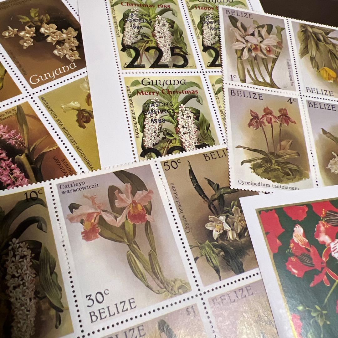 まさみん　おまとめ商品