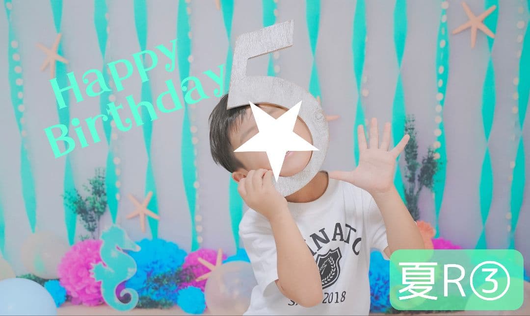 背景布×7+1　ペット撮影用ブース　トリミングチョーカー販売中　　夏　秋　お正月