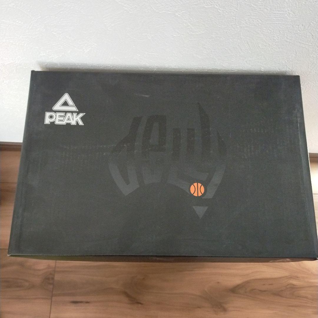 PEAK DELLY 1 ピーク　デリー1 US9 27cm