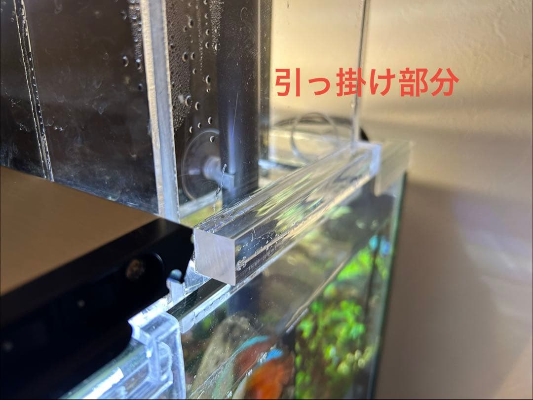 【訳あり】60㎝水槽用　上部濾過式アクアリウム水槽アクアポニックス仕様A