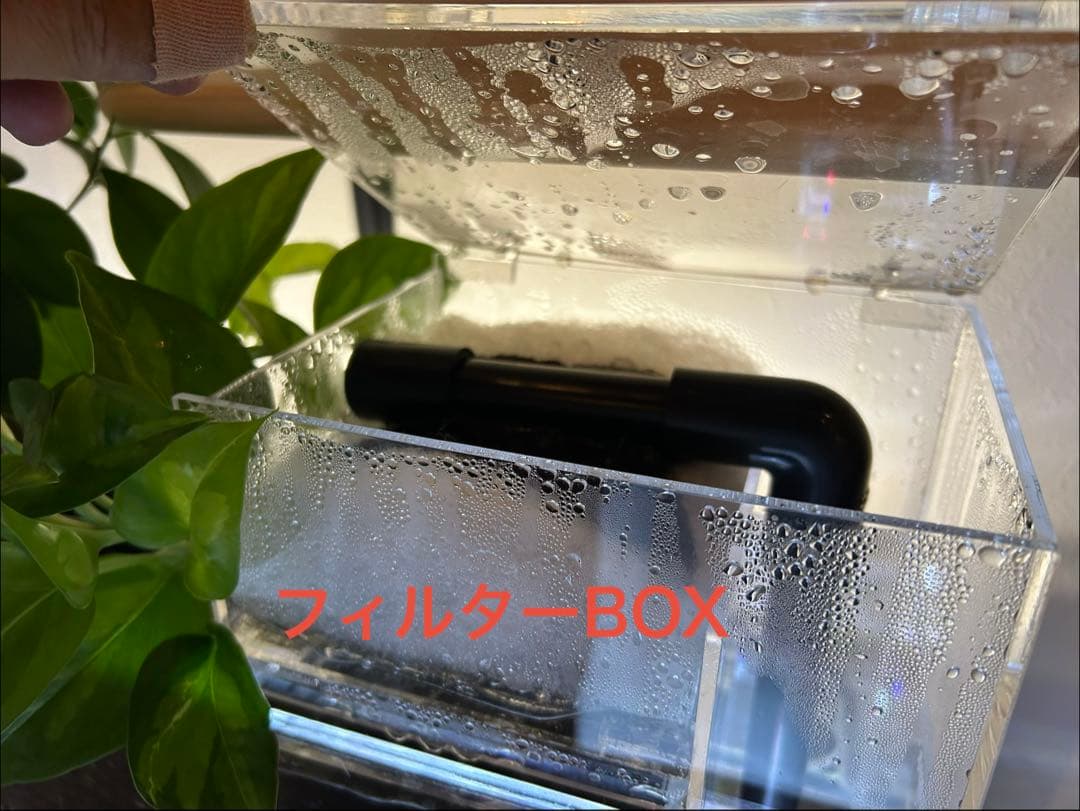 【訳あり】60㎝水槽用　上部濾過式アクアリウム水槽アクアポニックス仕様A