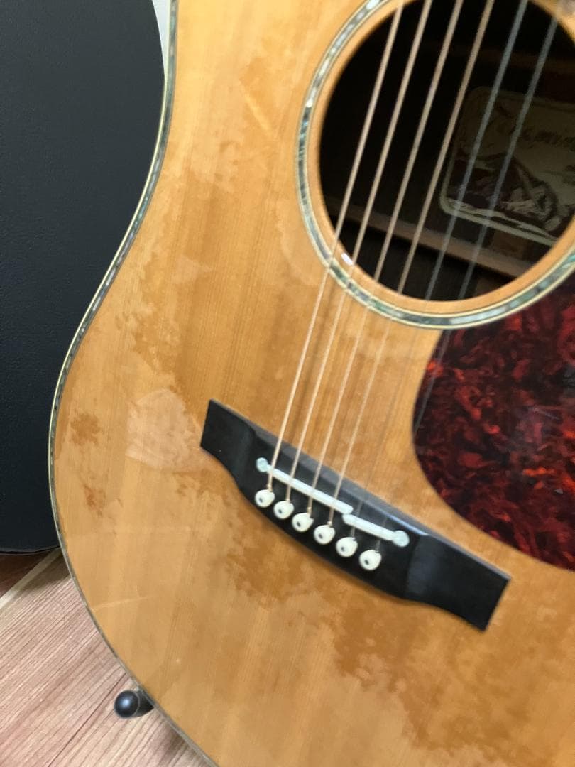Takamine アコースティックギター ギグバッグ付　塗装浮きアリ