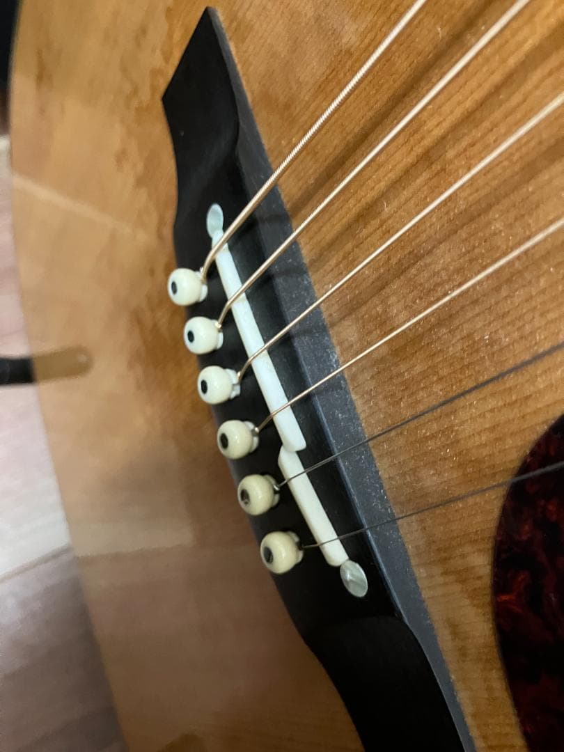 Takamine アコースティックギター ギグバッグ付　塗装浮きアリ