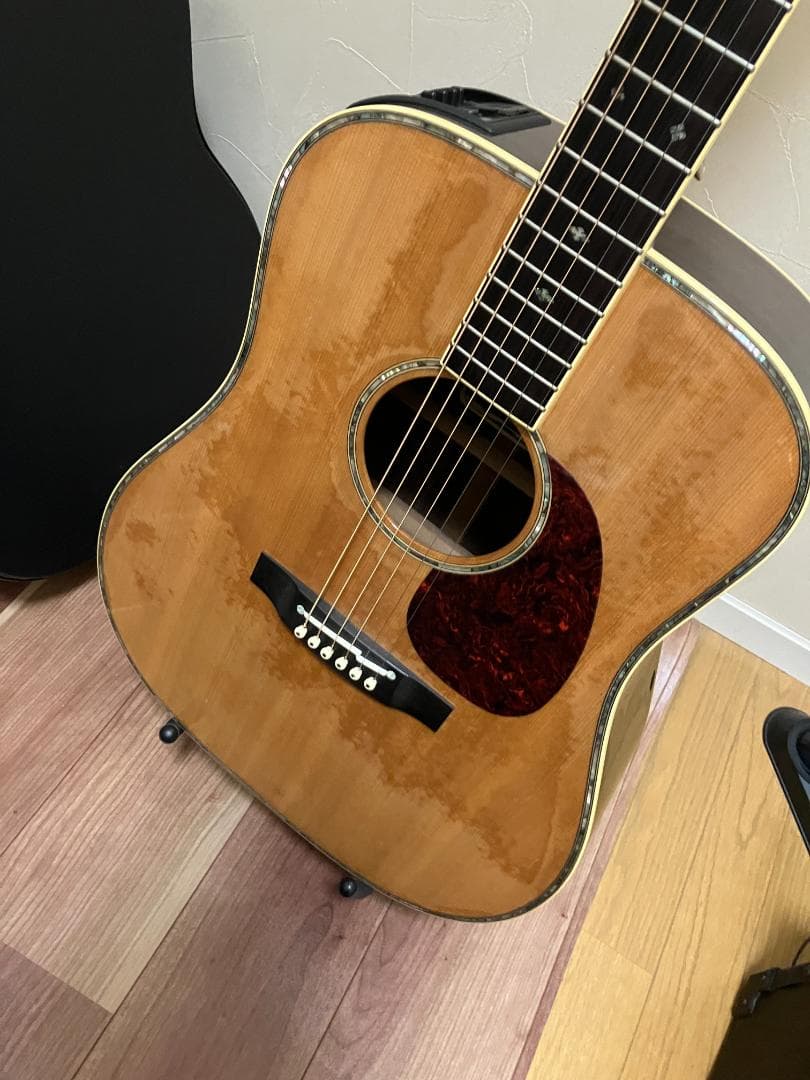 Takamine アコースティックギター ギグバッグ付　塗装浮きアリ