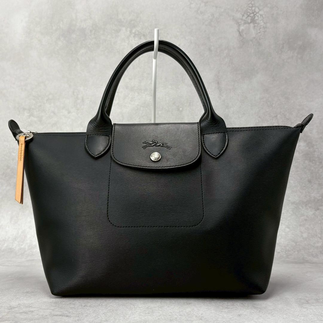 【美品】ロンシャン ル プリアージュ エナジー ハンドバッグ