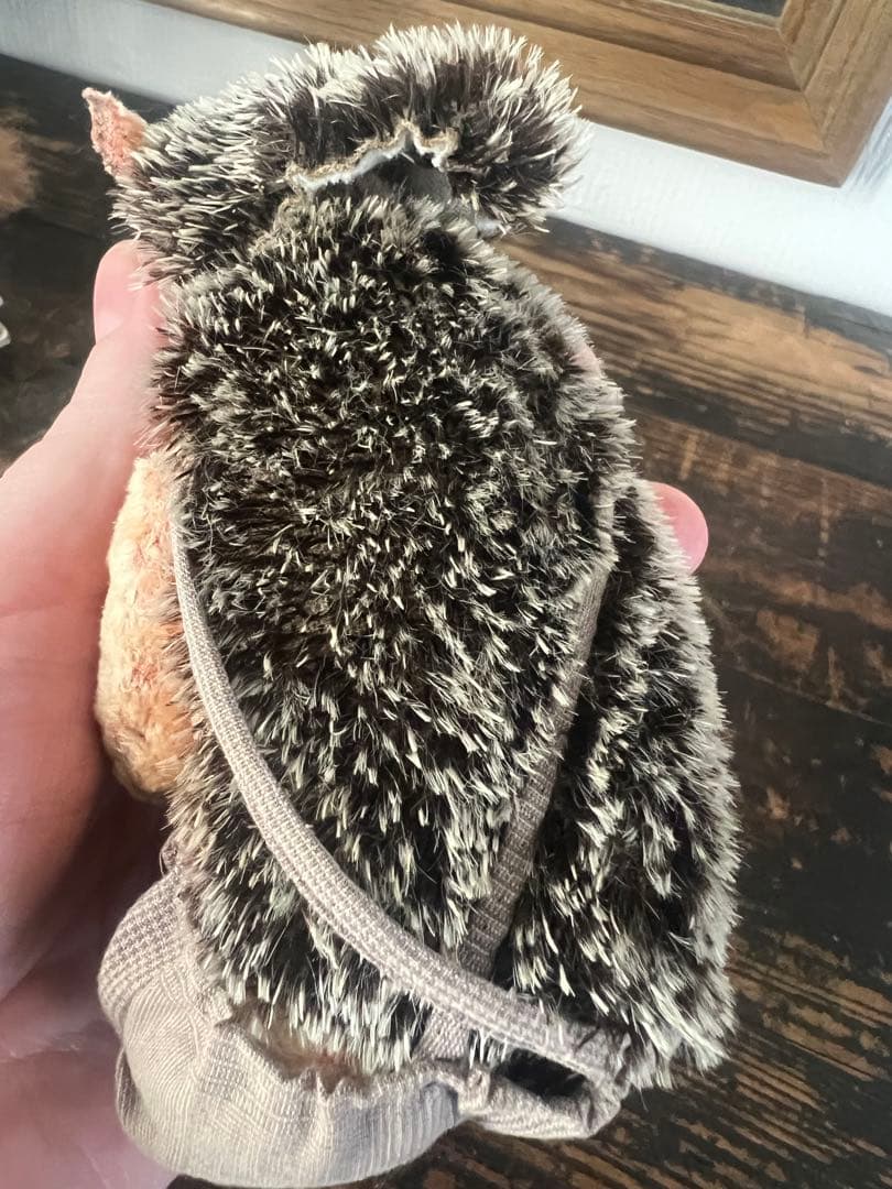 アンティーク動物コスチューム人形セット ドール　　 アンティーク　ビスクドール