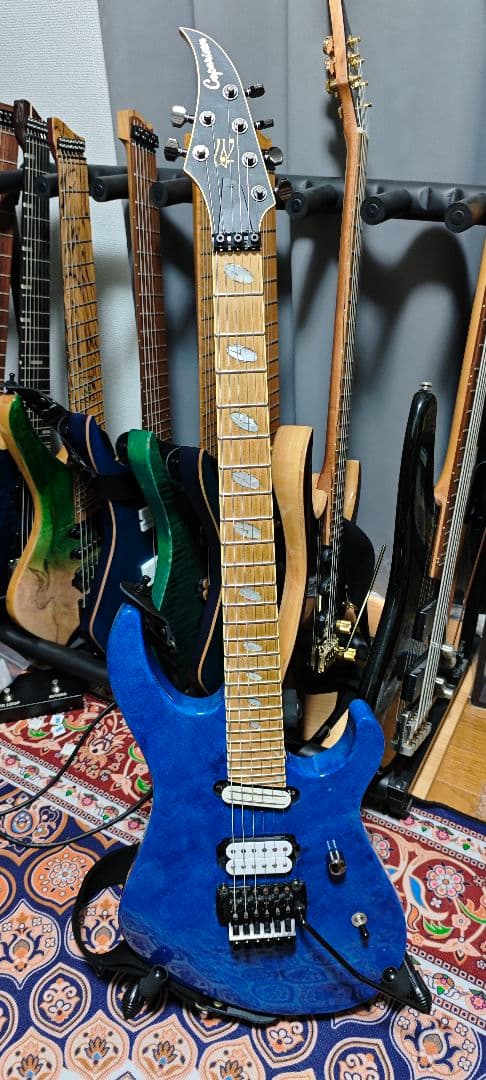 ギター Caparison Horus M3