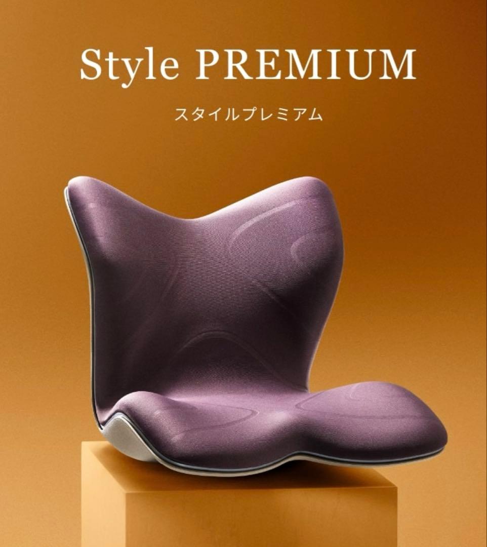 Style PREMIUM（スタイルプレミアム） ブラウン MGT 骨盤矯正