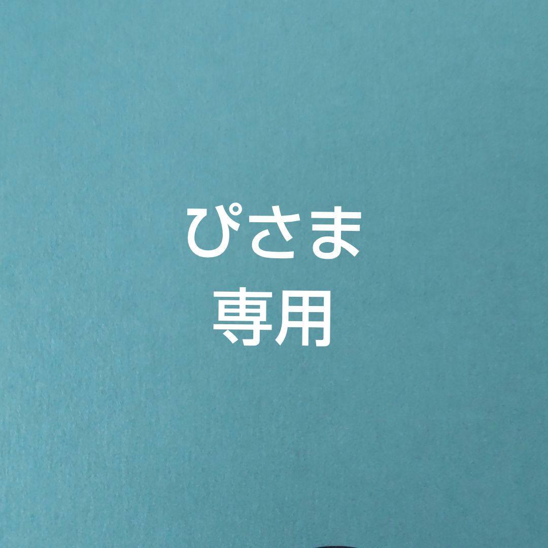 ぴさま専用