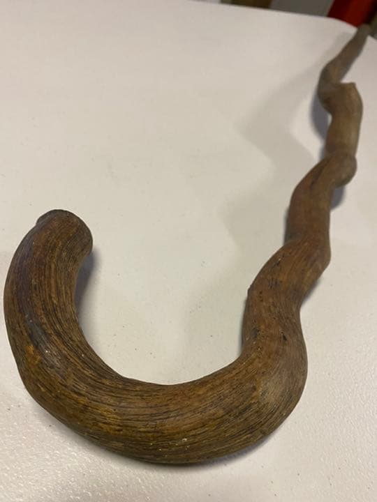 珍品【ゼ◯スの杖】