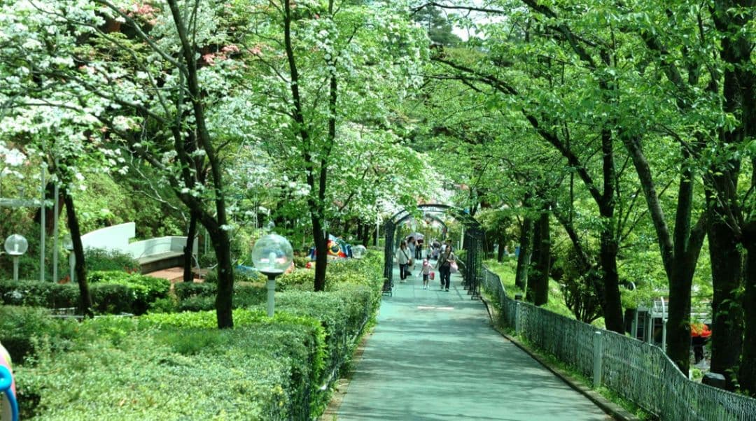 ねい様 NIKON　D70　広角から中望遠　初心者　一眼レフ⚡️ニコン⚡️