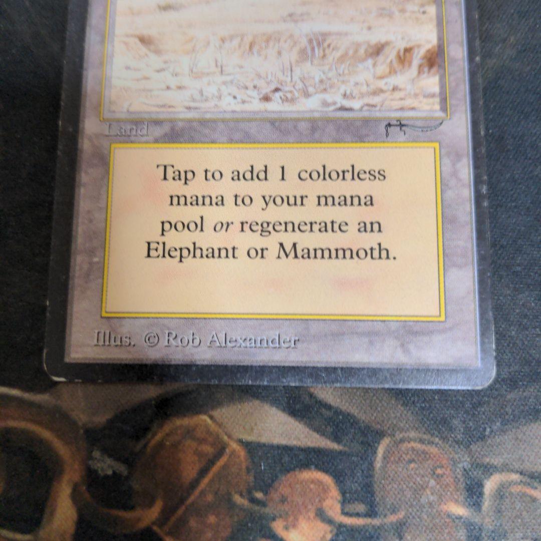 Elephant Graveyard　アラビアンナイト